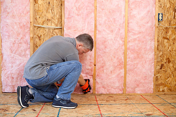 Insulation Replacement Services in Pembroke, VA